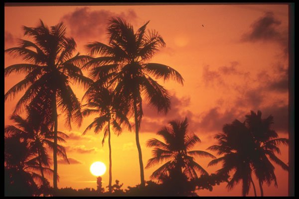 203086 Sunset, St. Croix A4 Photo Print