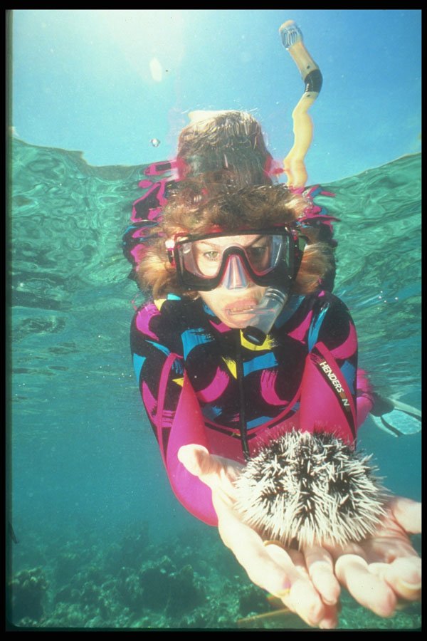 203093 Snorkeler With Pincushion Urchin, St. Thomas A4 Photo Print