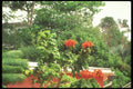 203097 Colorful Foliage A4 Photo Print