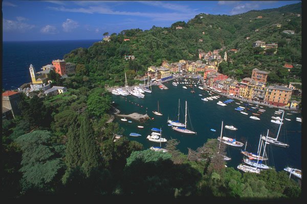 204053 Portofino's Hills Are Dotted With Classic Villas A4 Photo Print