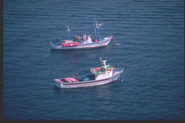 204064 Fishing Ships Offshore Sorrento, Italy A4 Photo Print