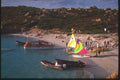 204075 Colorful Sailboards Add To The Atmosphere A4 Photo Print