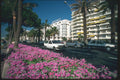 204090 Elegant Boulevard De Croisette, Cannes A4 Photo Print