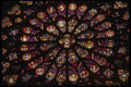 205025 Stained Glass Windows Of Notre Dame A4 Photo Print