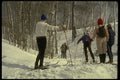 206040 Winter Sport A4 Photo Print