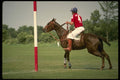 206062 Polo Player A4 Photo Print