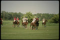 206064 Polo Game A4 Photo Print