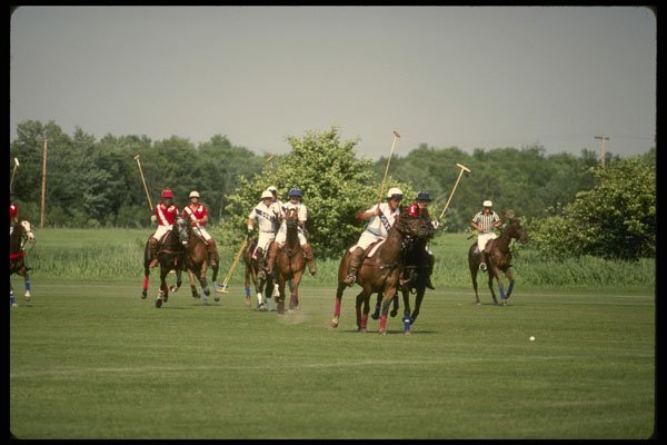 206064 Polo Game A4 Photo Print