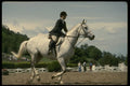 206068 Dressage A4 Photo Print