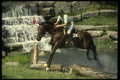 206069 Water Hazard Horse Trials A4 Photo Print