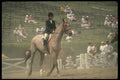 206070 Competitor, International Equestrian A4 Photo Print