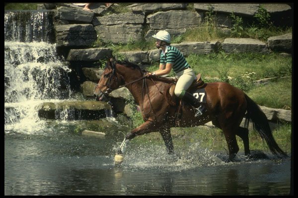 206094 Getting Wet On Horse Trails A4 Photo Print