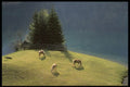 207000 Three Horses A4 Photo Print