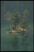 207018 Green Island A4 Photo Print