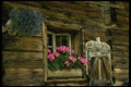 207025 Geraniums In Window A4 Photo Print