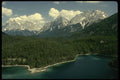 207029 Fern Pass A4 Photo Print