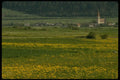 207074 Spring In Vinschgau A4 Photo Print