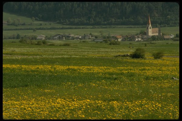 207074 Spring In Vinschgau A4 Photo Print