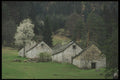 207075 Cluster Of Barns A4 Photo Print