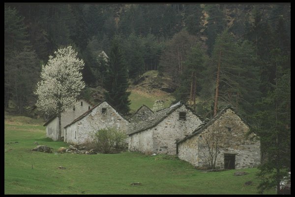 207075 Cluster Of Barns A4 Photo Print