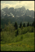 207096 Early Spring A4 Photo Print