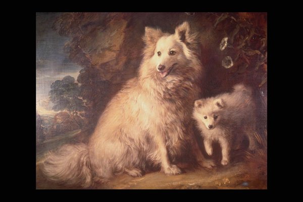 211020 Two White Dogs , England A4 Photo Print