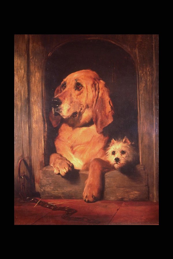 211021 Two Dogs In Kennel , England A4 Photo Print