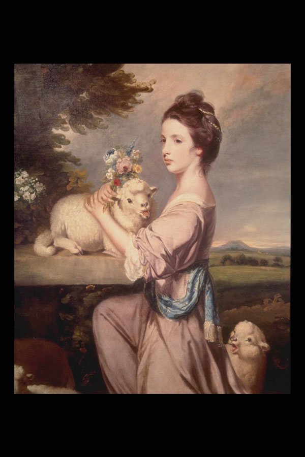 211022 Girl With Lambs , England A4 Photo Print