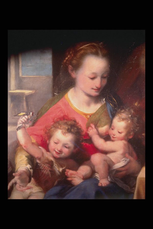 211023 Mother And Babies  A4 Photo Print