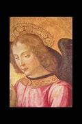 211030 Angel's Head , Botticelli, Italy A4 Photo Print