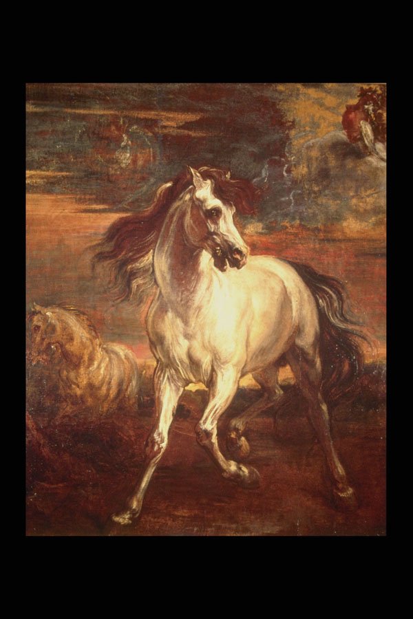 211046 White Horse , Gericault, France A4 Photo Print
