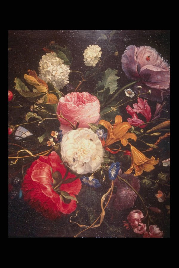 211078 Peonies , Flemish A4 Photo Print
