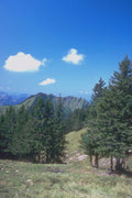 213017 Near Appenzell, Switzerland A4 Photo Print