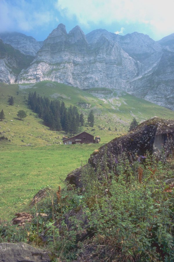213019 Near Appenzell, Switzerland A4 Photo Print