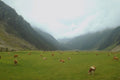 213045 Tyrolean Valley, Austria A4 Photo Print