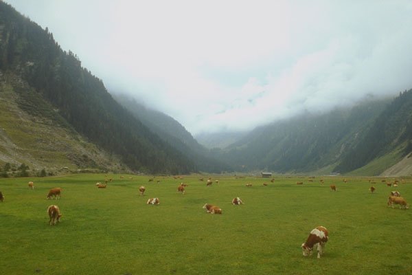 213045 Tyrolean Valley, Austria A4 Photo Print
