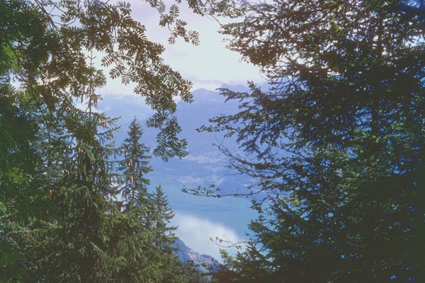 213070 View Of Lake Thun, Switzerland A4 Photo Print