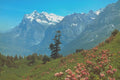 213083 Wetterhorn, Switzerland A4 Photo Print