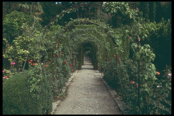 214019 Generalife, The Alhambra, Granada, Spain A4 Photo Print