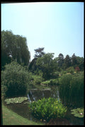 214023 Public Gardens, Geneva, Switzerland A4 Photo Print