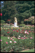 214029 Public Gardens, Geneva, Switzerland A4 Photo Print