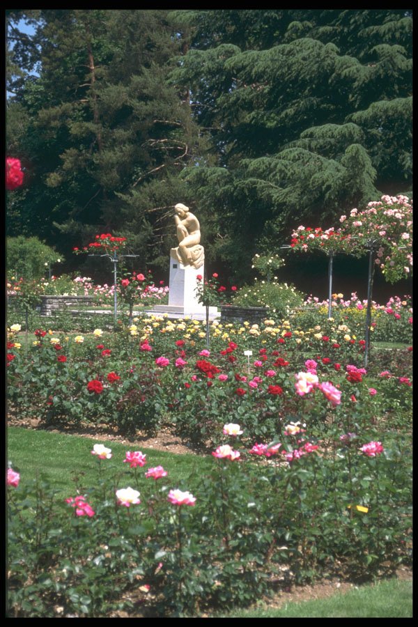 214029 Public Gardens, Geneva, Switzerland A4 Photo Print