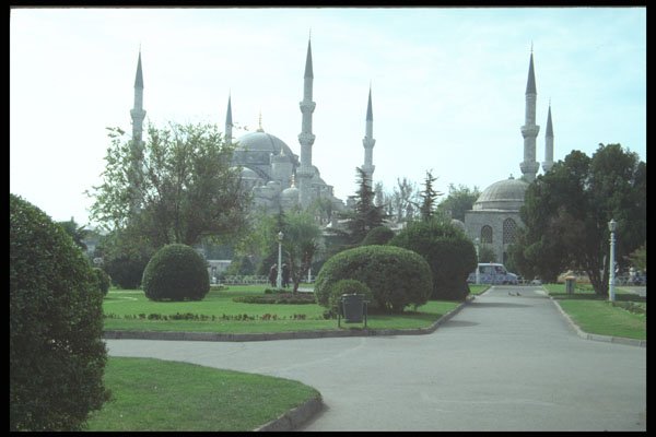 214030 Public Gardens, Istanbul, Turkey A4 Photo Print
