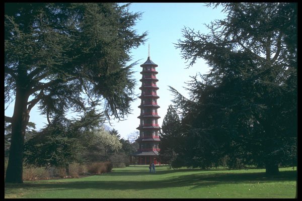 214032 Kew Gardens, England A4 Photo Print