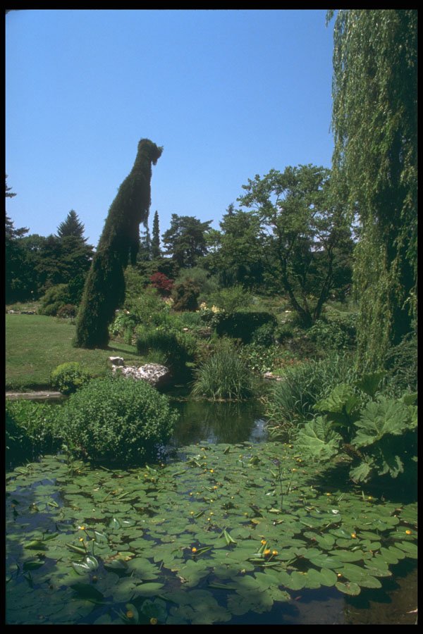 214037 Public Gardens, Geneva, Switzerland A4 Photo Print