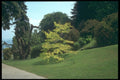 214044 Melzi Gardens, Bellagio, Italy A4 Photo Print