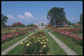 214045 Public Gardens, Geneva, Switzerland A4 Photo Print