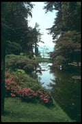 214048 Melzi Gardens, Bellagio, Italy A4 Photo Print