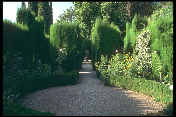 214050 Generalife, The Alhambra, Granada, Spain A4 Photo Print