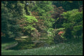 214056 Melzi Gardens, Bellagio, Italy A4 Photo Print